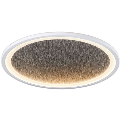 Brilliant - LED Pritemdomas lubinis šviestuvas TANIDA LED/31W/230V 3000-6500K + nuotolinio valdymo pultas