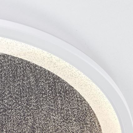Brilliant - LED Pritemdomas lubinis šviestuvas TANIDA LED/31W/230V 3000-6500K + nuotolinio valdymo pultas