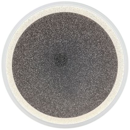 Brilliant - LED Pritemdomas lubinis šviestuvas TANIDA LED/31W/230V 3000-6500K + nuotolinio valdymo pultas