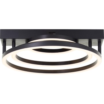 Brilliant - LED Reguliuojama lubų šviesa PEDLEY LED/36W/230V juoda