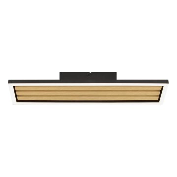 Brilliant - LED reguliuojamas lubinis šviestuvas CALMA LED/15W/230V juodas