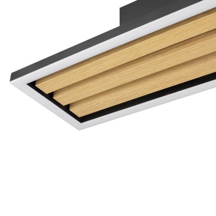 Brilliant - LED reguliuojamas lubinis šviestuvas CALMA LED/15W/230V juodas