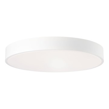 Brilliant - LED reguliuojamas lubinis šviestuvas SLIMLINE LED/60W/230V 3000-6500K Ø 49 cm baltas + nuotolinis pultas