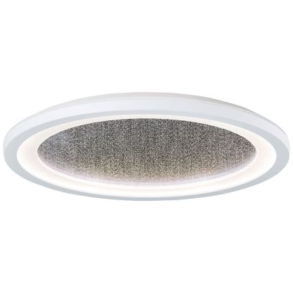 Brilliant - LED RGBW Reguliuojamas lubinis šviestuvas TANIDA LED/22W/230V 3000-6500K+ nuotolinio valdymo pultas
