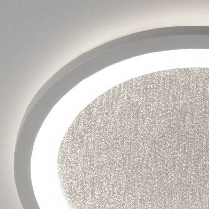 Brilliant - LED RGBW Reguliuojamas lubinis šviestuvas TANIDA LED/22W/230V 3000-6500K+ nuotolinio valdymo pultas