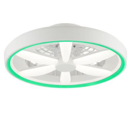 Brilliant - LED RGBW Pritemdomas lubinis ventiliatorius su šviestuvu GAIANO LED/48W/230V 2700-6500K balta + nuotolinio valdymo pultas