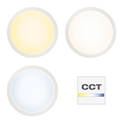 Brilliant - LED RGBW Reguliuojamas lubinis šviestuvas ABIE LED/24W/230V 2700-6500K + nuotolinio valdymo pultas