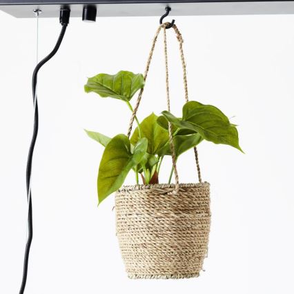 Brilliant - Pakabinamas šviestuvas ant laido BANKWOOD 5xE27/28W/230V topolis