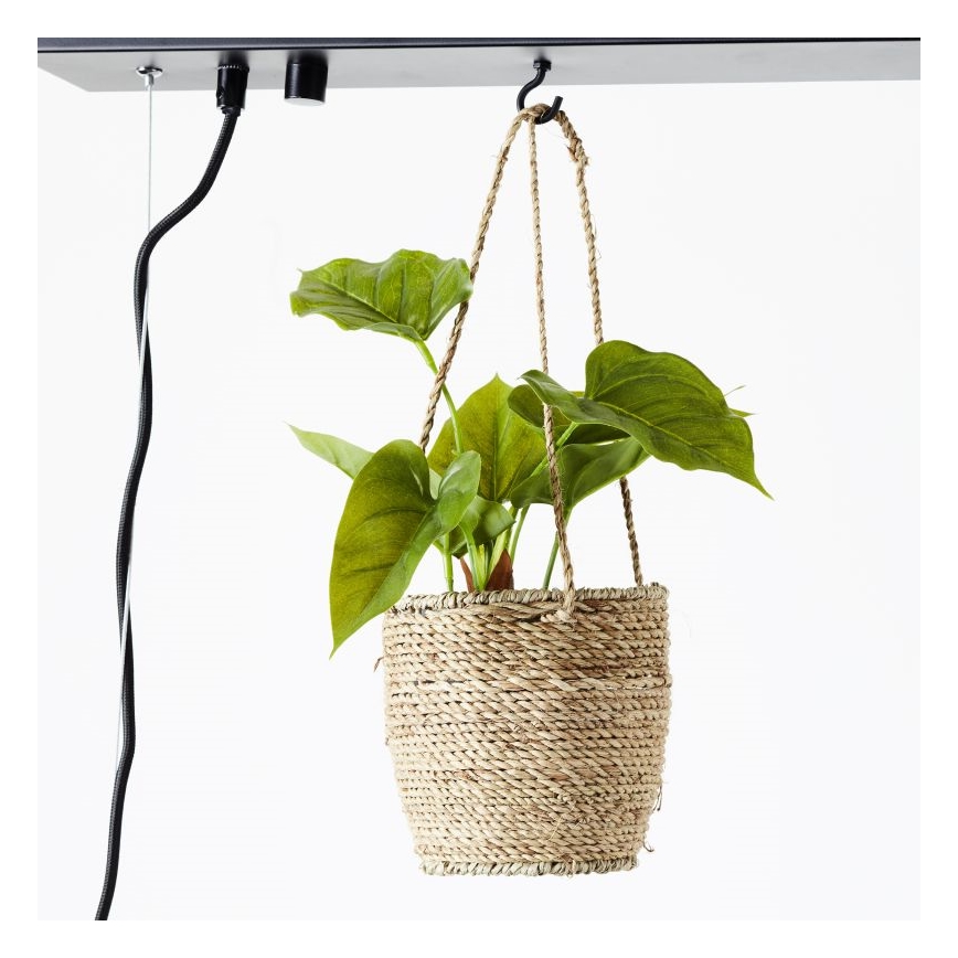 Brilliant - Pakabinamas šviestuvas ant laido BANKWOOD 5xE27/28W/230V topolis