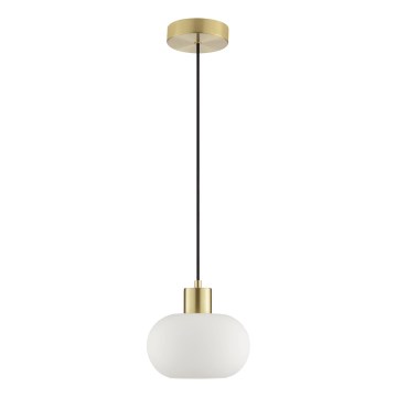 Brilliant - Pakabinamas šviestuvas ant laido FANNY 1xE27/20W/230V skersmuo 22 cm žalvaris