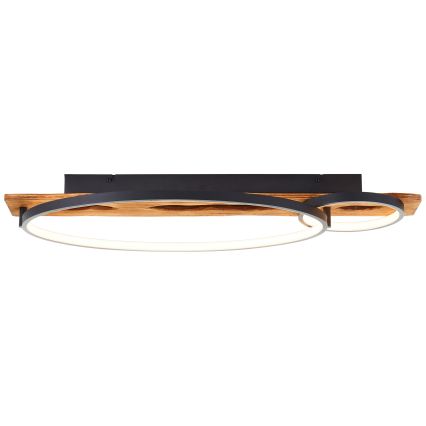 Brilliant - Reguliuojamas LED lubų šviestuvas PIRUS LED/30W/230V 30x70 cm kaučiukmedis