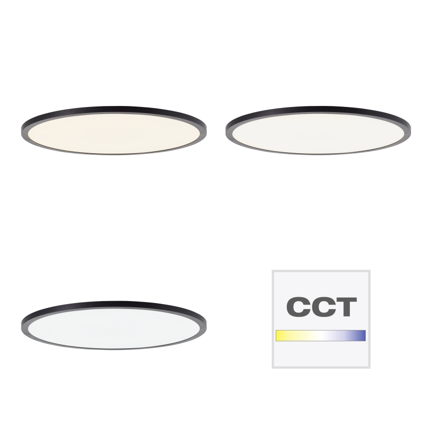 Brilliant - Dimeriuojamas LED lubinis šviestuvas TUCO LED/33W/230V 3000-6500K Ø 50 cm juodas + nuotolinis valdymas