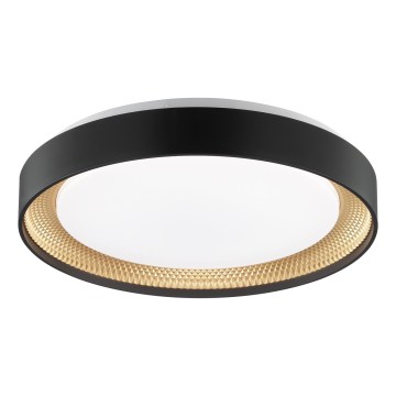 Brilliant - Reguliuojamas LED lubinis šviestuvas WALDO LED/24W/230V 3000-6500K Ø 38,5 cm juoda/auksinė + nuotolinis valdymas