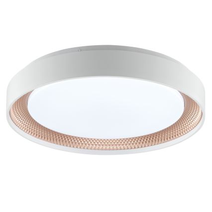 Brilliant - dimeriuojamas LED lubinis šviestuvas WALDO LED/24W/230V 3000-6500K skersmuo 38,5 cm balta/rožinio aukso + nuotolinis valdymas