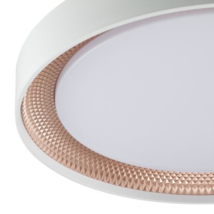 Brilliant - dimeriuojamas LED lubinis šviestuvas WALDO LED/24W/230V 3000-6500K skersmuo 38,5 cm balta/rožinio aukso + nuotolinis valdymas
