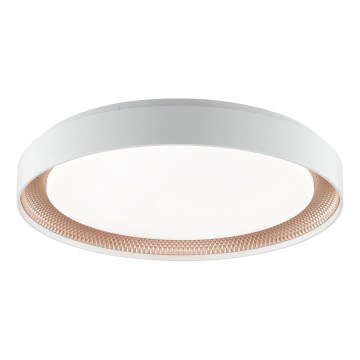 Brilliant - reguliuojamas LED lubinis šviestuvas WALDO LED/36W/230V 3000-6500K skersmuo 48,5 cm balta/rožinio aukso + nuotolinio valdymo pultas