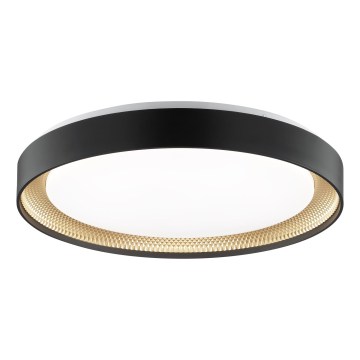 Brilliant - reguliuojamas LED lubinis šviestuvas WALDO LED/36W/230V 3000-6500K skersmuo 48,5 cm juoda/auksinė + nuotolinio valdymo pultelis