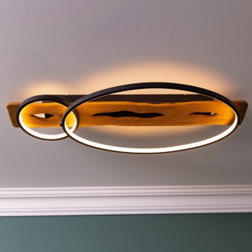 Brilliant - Reguliuojamas LED lubų šviestuvas PIRUS LED/30W/230V 30x70 cm kaučiukmedis