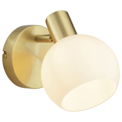Brilliant - Sieninis taškinis šviestuvas CONY 1xE14/20W/230V žalvarinis