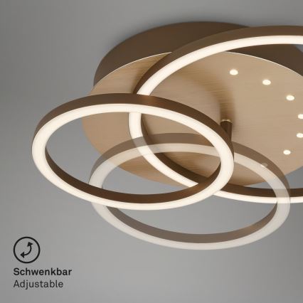 Brilo - Dimeriuojamas LED lubinis šviestuvas LED/26W/230V 3000K rudas