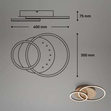 Brilo - Dimeriuojamas LED lubinis šviestuvas LED/26W/230V 3000K rudas
