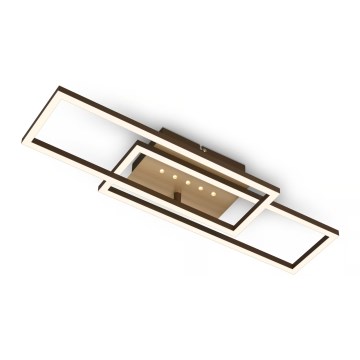 Brilo - Dimeriuojamas lubinis LED šviestuvas LED/30W/230V 3000K rudas