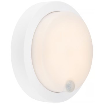 Brilo - įkraunamas lauko LED sieninis šviestuvas su jutikliu LED/4W/5V 4400 mAh IP44 baltas