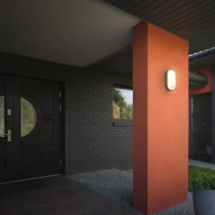 Brilo - lauko sieninis LED šviestuvas su judesio ir sutemų jutikliu RUCH LED/12W/230V IP65 juodas