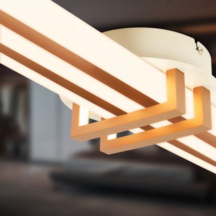 Brilo - LED lubų šviestuvas TINKA LED/30W/230V 3000K vario spalvos