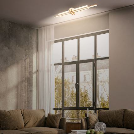 Brilo - LED lubų šviestuvas TINKA LED/30W/230V 3000K vario spalvos