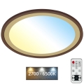 Brilo - LED Pritemdomas lubinis šviestuvas SLIM LED/22W/230V 2700-6500K + nuotolinio valdymo pultas