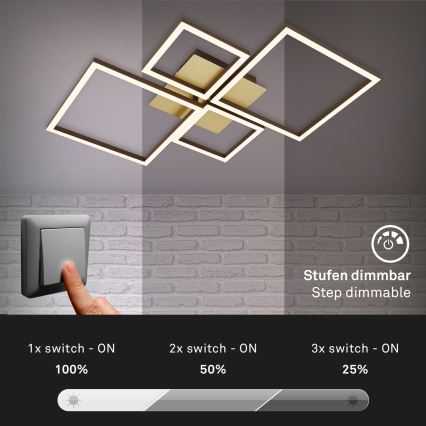 Brilo - LED Pritemdomas tvirtinamas sietynas FRAME LED/44W/230V