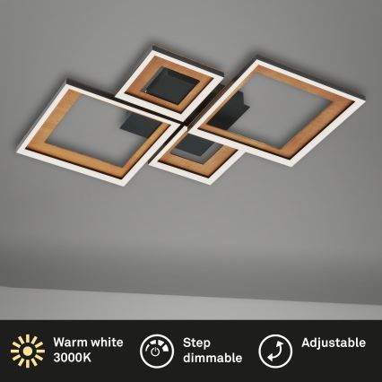 Brilo - LED reguliuojamas paviršinis šviestuvas FRAME LED/38W/230V