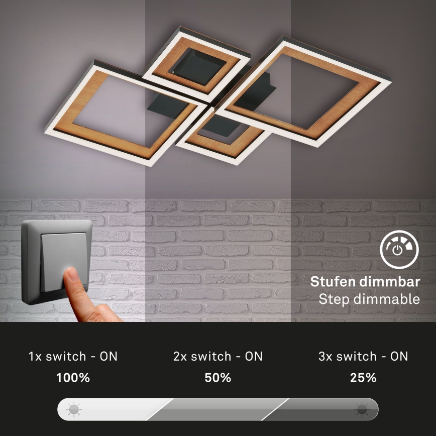 Brilo - LED reguliuojamas paviršinis šviestuvas FRAME LED/38W/230V