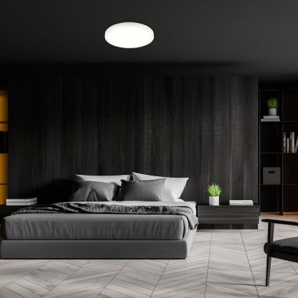 Brilo - RGBW LED dimeriuojamas lubinis šviestuvas LED/20W/230V 2200-6500K Wi-Fi Tuya skersmuo 27 cm