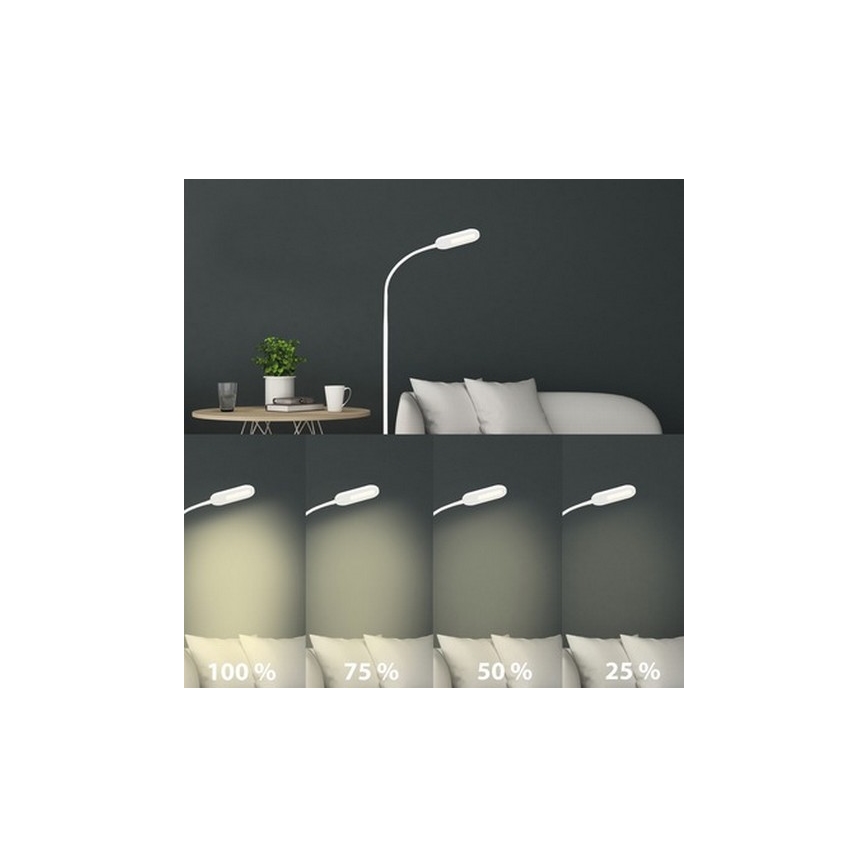 Briloner 1297-016 - LED šviesos reguliavimas jutiklinė Toršeras LED/8W/230V 3000/4000/6000K