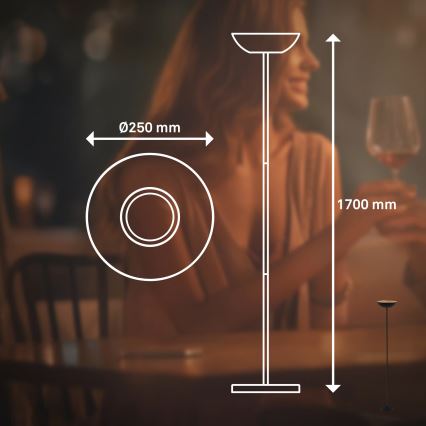 Briloner 1500015 - LED dimeriuojamas toršeras ESTATE LED/8W/5V 4000 mAh juodas