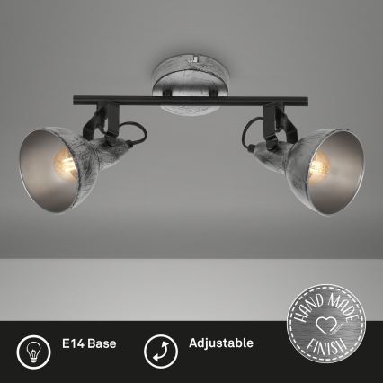 Briloner 2049-024 - Akcentinis apšvietimas RETRO 2xE14/40W/230V pilka