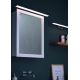 Briloner 2060-018 - LED vonios veidrodžio šviestuvas SPLASH LED/10W/230V IP23