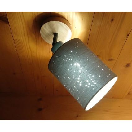 Briloner 2078-011 - Sieninis akcentinis šviestuvas SPOTLIGHT 1xE27/25W/230V smėlio spalva