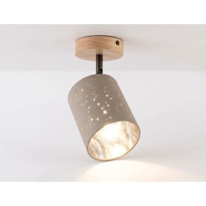 Briloner 2078-011 - Sieninis akcentinis šviestuvas SPOTLIGHT 1xE27/25W/230V smėlio spalva