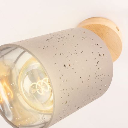 Briloner 2078-011 - Sieninis akcentinis šviestuvas SPOTLIGHT 1xE27/25W/230V smėlio spalva