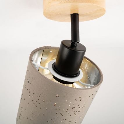 Briloner 2078-011 - Sieninis akcentinis šviestuvas SPOTLIGHT 1xE27/25W/230V smėlio spalva