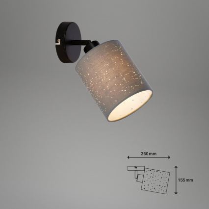 Briloner 2078-014 - Sieninis akcentinis šviestuvas SPOTLIGHT 1xE27/25W/230V pilka/juoda