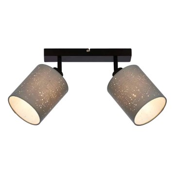 Briloner 2078-024 - Akcentinis apšvietimas SPOTLIGHT 2xE27/25W/230V pilka/juoda