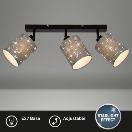 Briloner 2078-034 - Akcentinis apšvietimas SPOTLIGHT 3xE27/25W/230V pilka/juoda