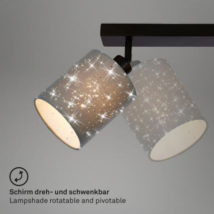 Briloner 2078-034 - Akcentinis apšvietimas SPOTLIGHT 3xE27/25W/230V pilka/juoda