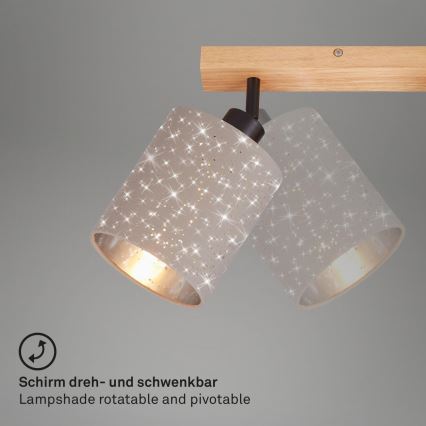 Briloner 2078-041 - Akcentinis apšvietimas SPOTLIGHT 4xE27/25W/230V smėlio spalva