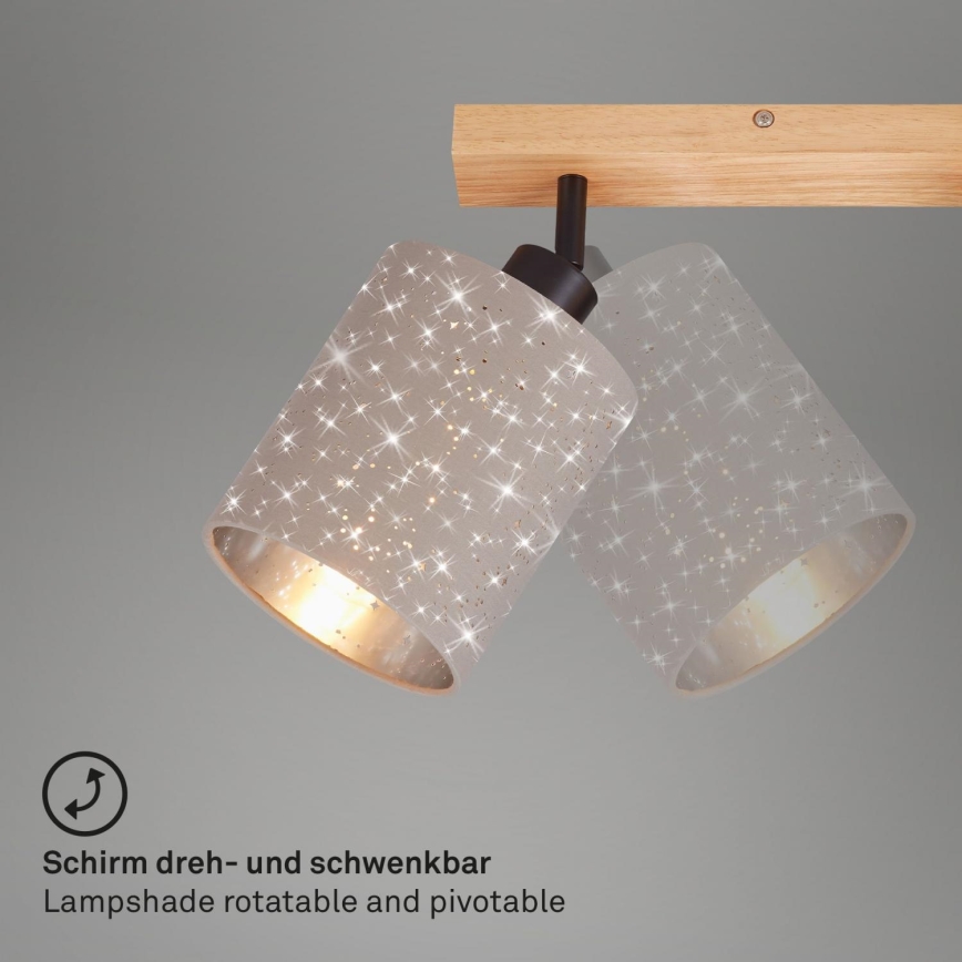 Briloner 2078-041 - Akcentinis apšvietimas SPOTLIGHT 4xE27/25W/230V smėlio spalva