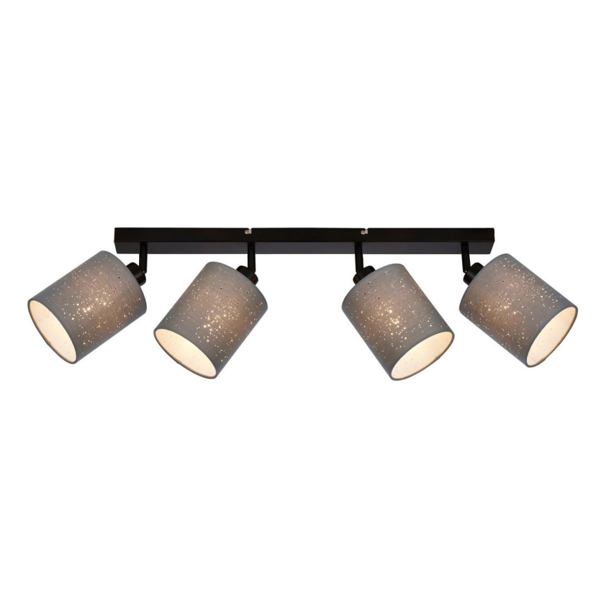 Briloner 2078-044 - Akcentinis apšvietimas SPOTLIGHT 4xE27/25W/230V pilka/juoda